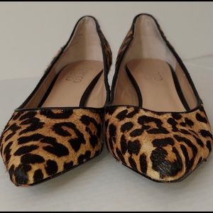 Franco Sarto Leopard Print Black Heel Pump
